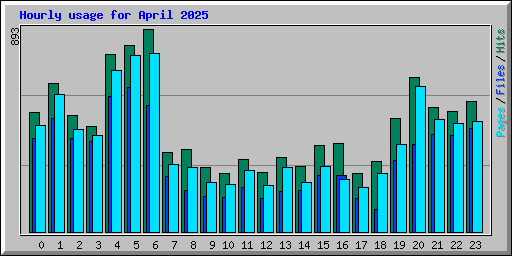 Hourly usage for April 2025