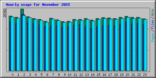 Hourly usage for November 2025
